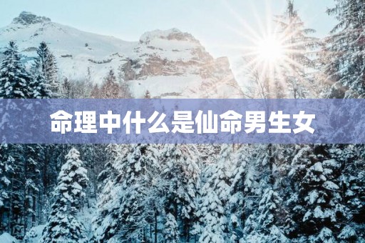 命理中什么是仙命男生女
