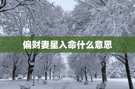 偏财妻星入命什么意思