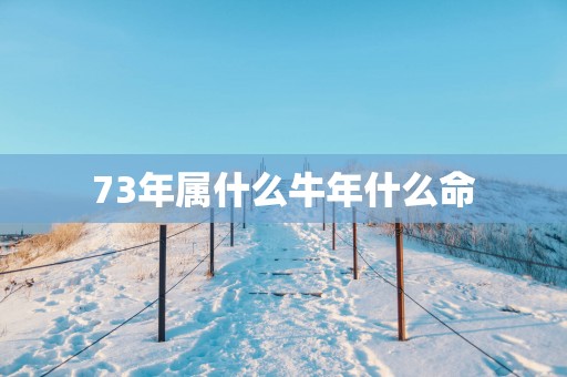 73年属什么蛇年什么命