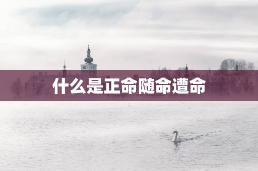 什么是正命随命遭命