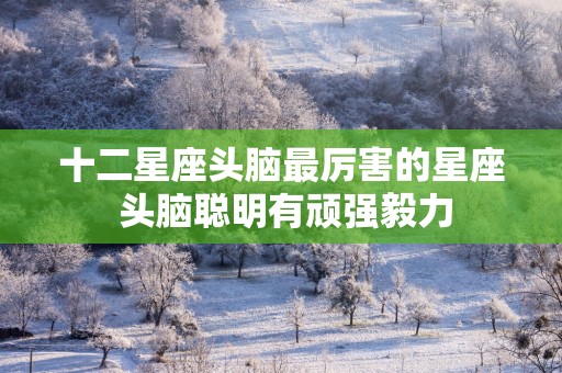 十二星座头脑最厉害的星座 头脑聪明有顽强毅力