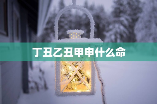 丁丑乙丑甲申什么命