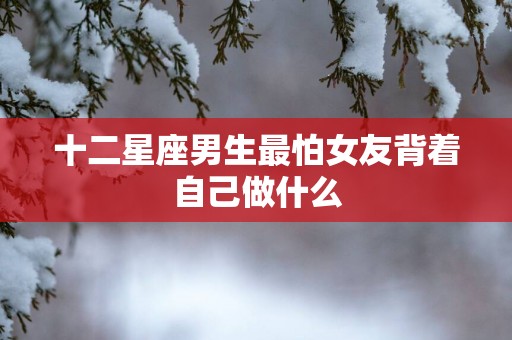 十二星座男生最怕女友背着自己做什么