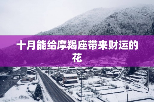 十月能给摩羯座带来财运的花