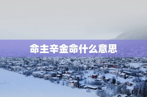 命主辛金命什么意思