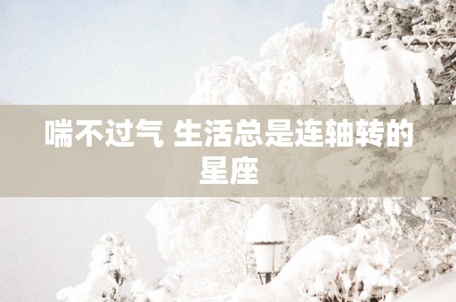 喘不过气 生活总是连轴转的星座