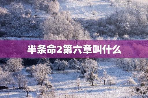 半条命2第六章叫什么
