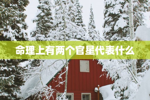 命理上有两个官星代表什么