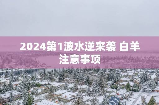 2025第1波水逆来袭 白羊注意事项