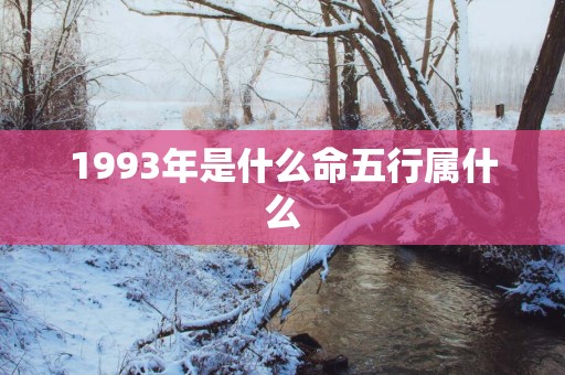 1993年是什么命五行属什么