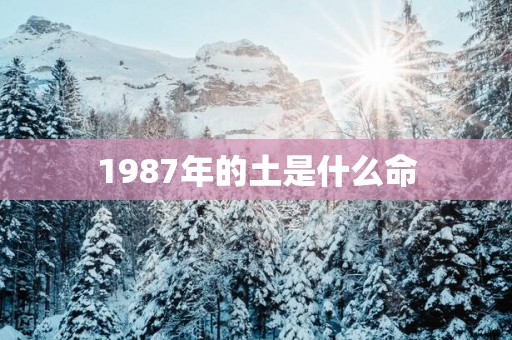 1987年的土是什么命