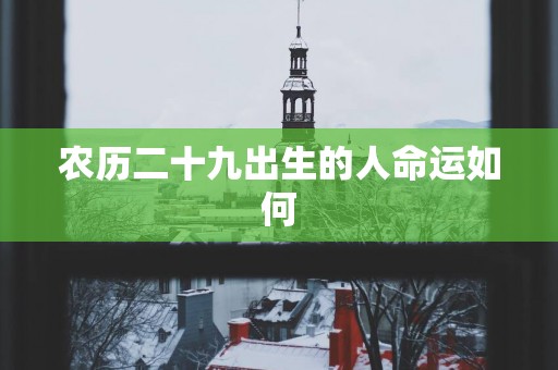 农历二十九出生的人命运如何