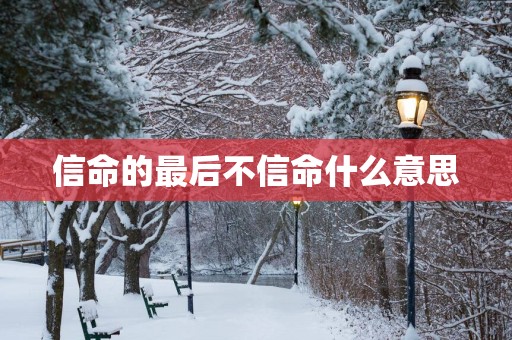 信命的最后不信命什么意思
