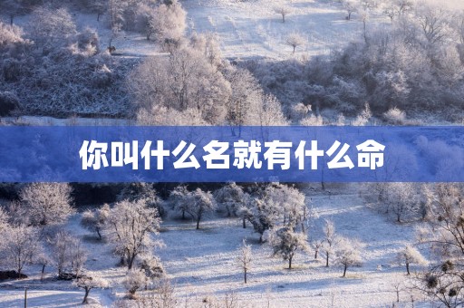 你叫什么名就有什么命