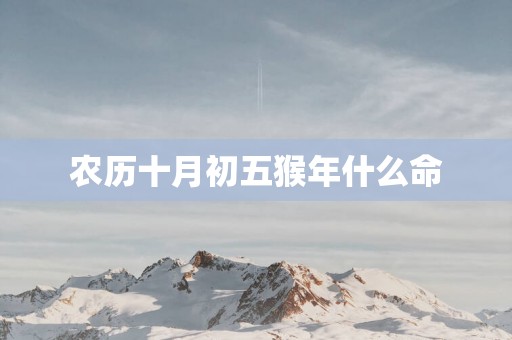 农历十月初五猴年什么命