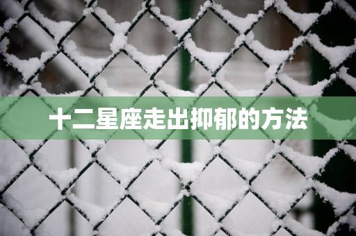 十二星座走出抑郁的方法