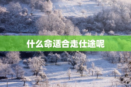 什么命适合走仕途呢