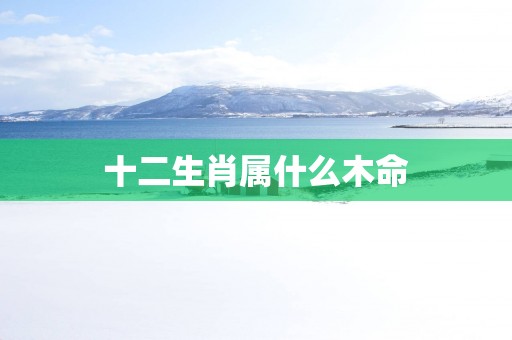 十二生肖属什么木命