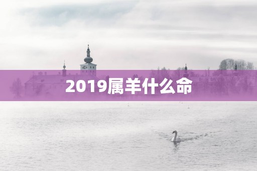 2019属羊什么命
