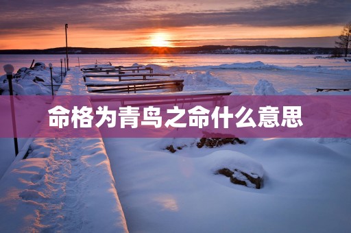 命格为青鸟之命什么意思