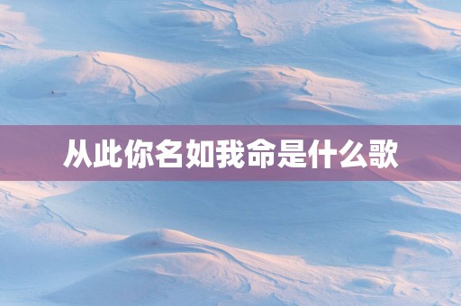 从此你名如我命是什么歌