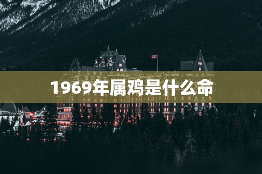 1969年属鸡是什么命