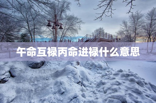 午命互禄丙命进禄什么意思