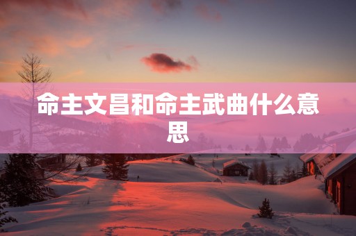 命主文昌和命主武曲什么意思