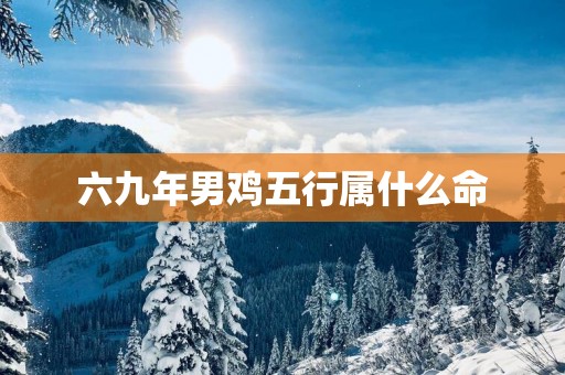六九年男鸡五行属什么命
