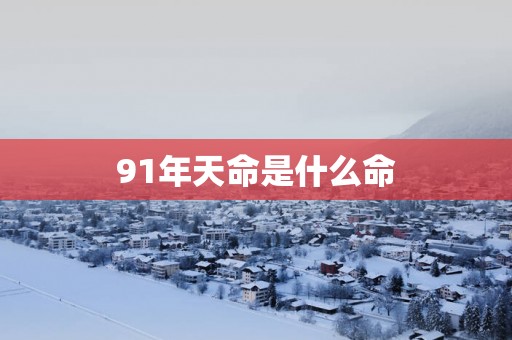91年天命是什么命