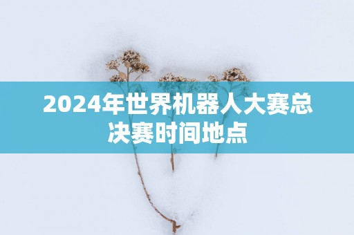 2025年世界机器人大赛总决赛时间地点