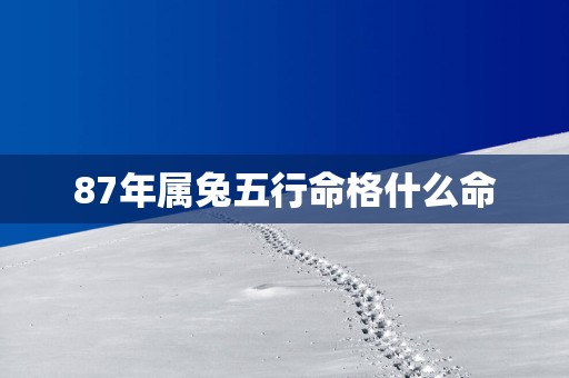 87年属兔五行命格什么命