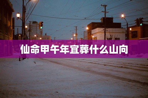 仙命甲午年宜葬什么山向