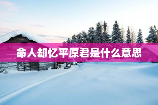 命人却忆平原君是什么意思
