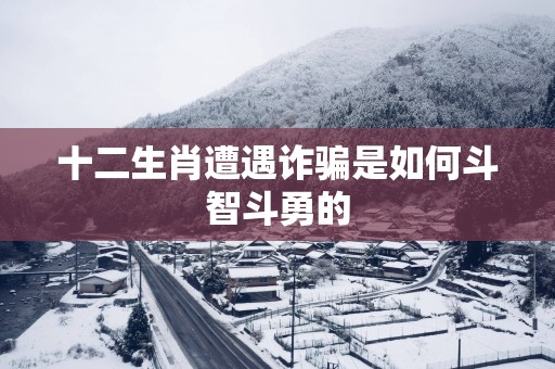十二生肖遭遇诈骗是如何斗智斗勇的