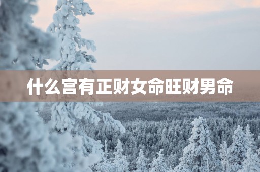 什么宫有正财女命旺财男命