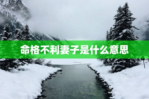 命格不利妻子是什么意思
