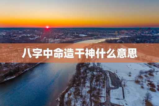 八字中命造干神什么意思
