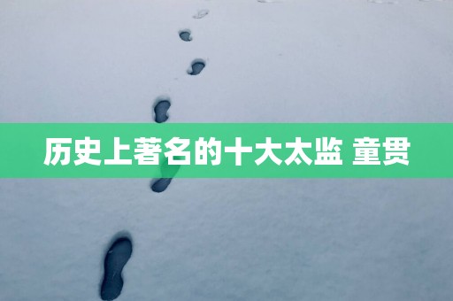 历史上著名的十大太监 童贯