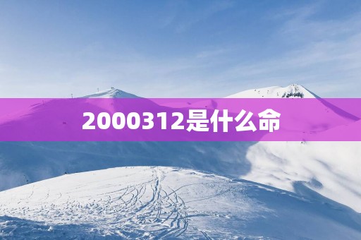 2000312是什么命