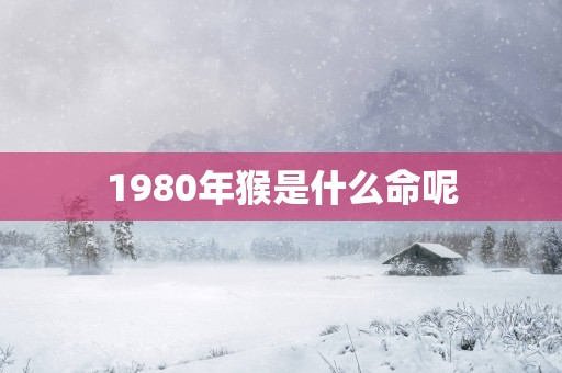 1980年猴是什么命呢