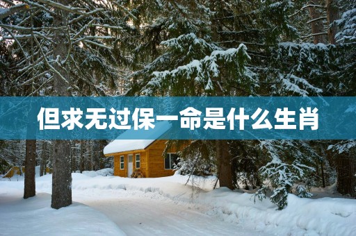但求无过保一命是什么生肖