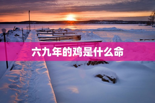 六九年的鸡是什么命