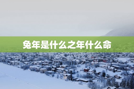 蛇年是什么之年什么命