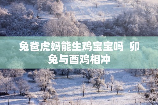 兔爸虎妈能生鸡宝宝吗  卯兔与酉鸡相冲