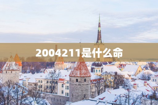 2004211是什么命