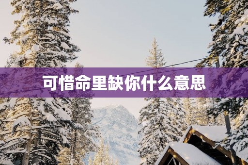 可惜命里缺你什么意思