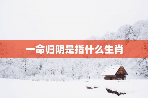 一命归阴是指什么生肖