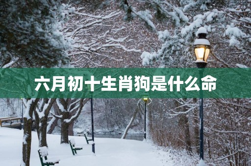 六月初十生肖狗是什么命