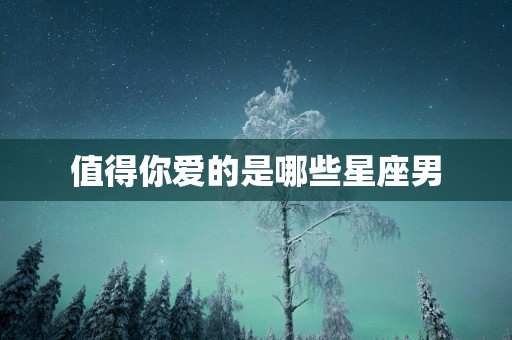 值得你爱的是哪些星座男